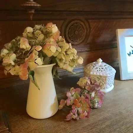 Altstadt-refugium * 하멜른