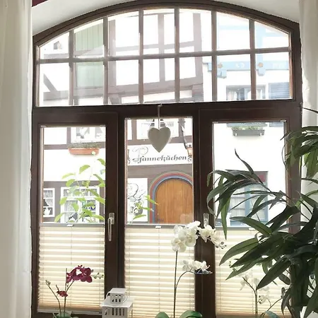 Appartement Altstadt-refugium
