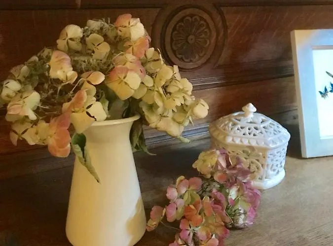 Altstadt-refugium * 하멜른