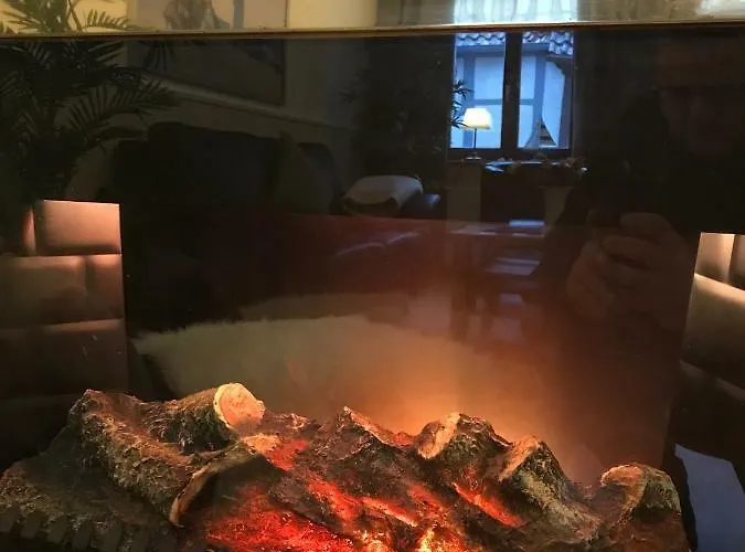 Altstadt-refugium 아파트 *