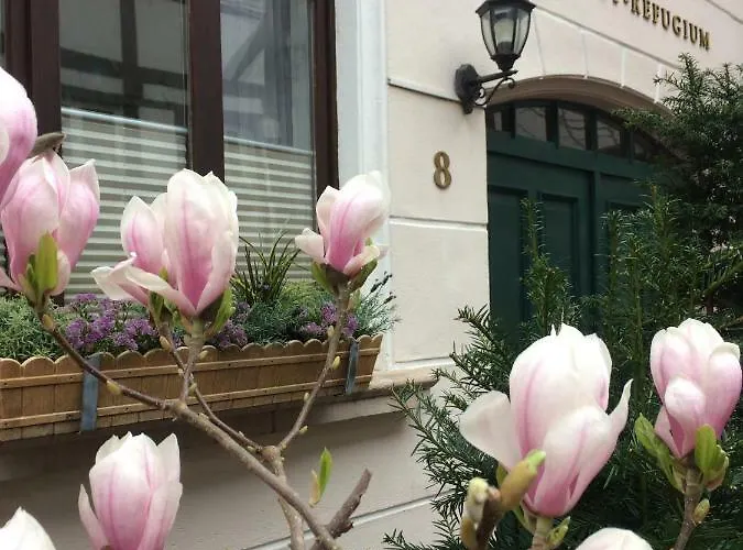 아파트 Altstadt-refugium